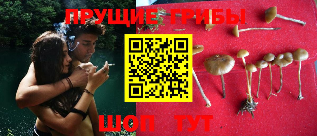 Псилоцибиновые грибы Cubensis  Вход с VPN  Галлюциногенные грибы Magic Shrooms  Орехово-Зуево 